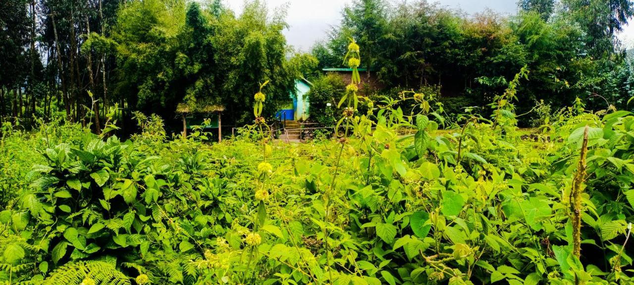 Under Volcanoes View Guest House Nyarugina Exterior photo